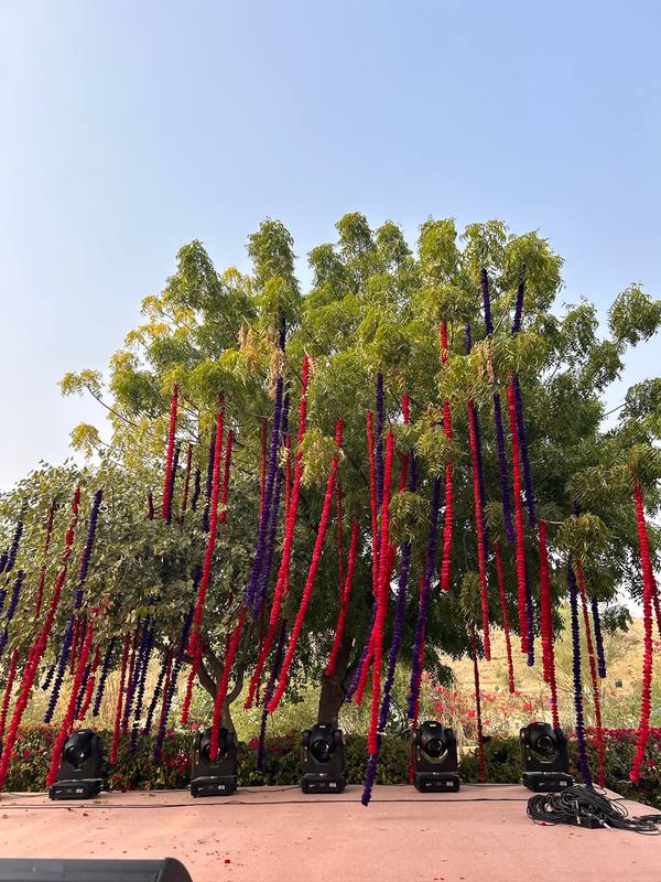 Bombay Tent event setup, photograph 33